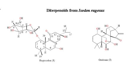 ACG Publications A New Diterpene Abietane Glycoside From The Roots