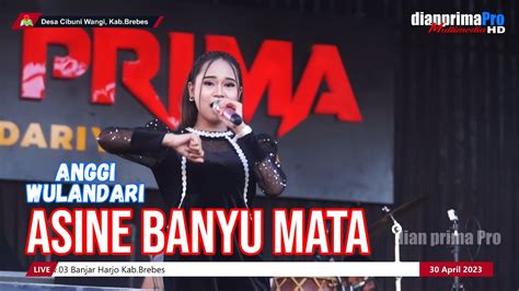 ASINE BANYU MATA ANGGI WULANDARI LIVE MUSIC OFFICIAL DIAN PRIMA