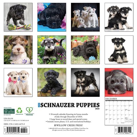 Schnauzer Puppies Kalender Kopen Bestel Eenvoudig Online