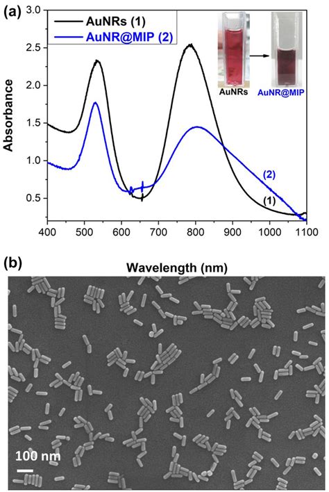 A Absorption Spectra Of AuNRs 1 Black Curve And AuNRs Coated By