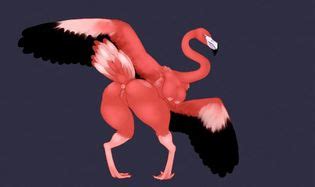 Avian Luscious Hentai Manga Porn