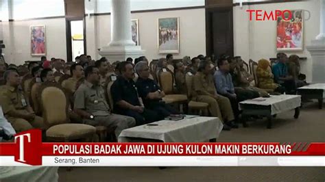 Populasi Badak Jawa Di Ujung Kulon Makin Berkurang Video Dailymotion