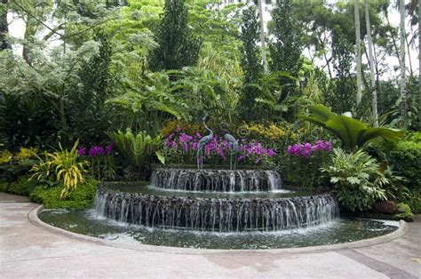 Giardini Botanici Di Singapore Immagine Stock Immagine Di Tropicale