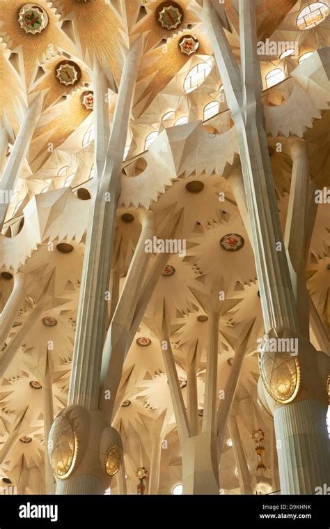 Interno Della La Sagrada Familia Di Gaudi Barcellona Spagna Foto