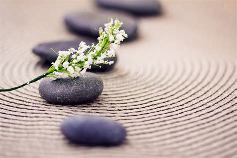 Pedras Dos Termas Flores Cuidado Do Wellness Beleza Imagem De Stock