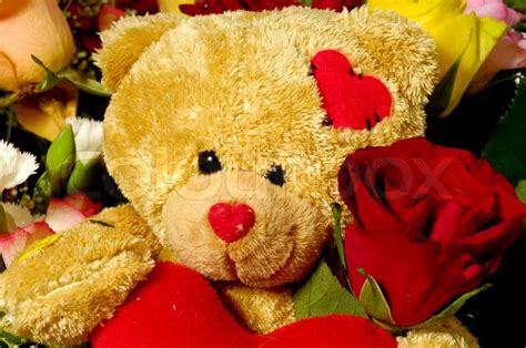 Teddy bear and roses | Stock image | Colourbox