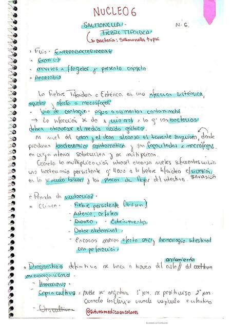 Núcleo 6 Infecciones por vía Digestiva agentes mecanismos de defensa