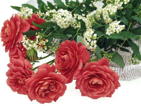 Romantic Flowers Flowers World