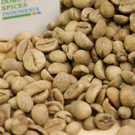 Java Robusta Green Coffee Beans After Polish Inaexport