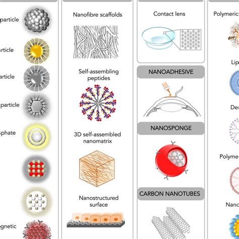 Schematic Diagram Depicting Nanomedicine Techniques Available For Download Scientific Diagram