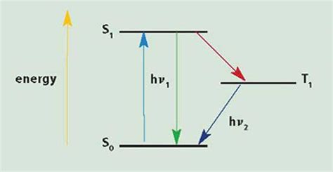 Spectroscopy: Mastering the Techniques | Test & Measurement | Photonics ...