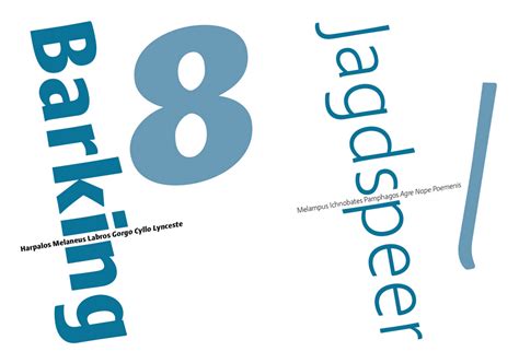 Aktaion Fonts | I Love Typography