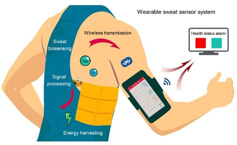 New Device Powers Wearable Sensors Through Human Motion Biology And