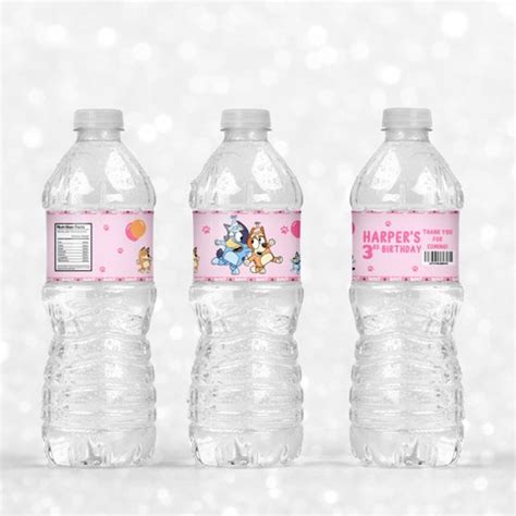 Bluey Birthday Pink Water Bottle Label Printable Birthday Etsy New