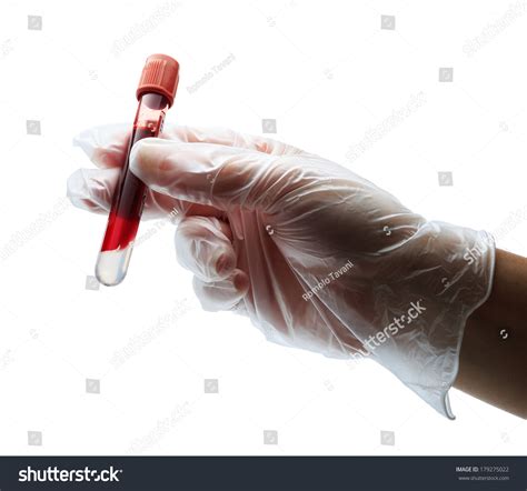 Hand Glove Holding Blood Test Tube Stock Photo Shutterstock