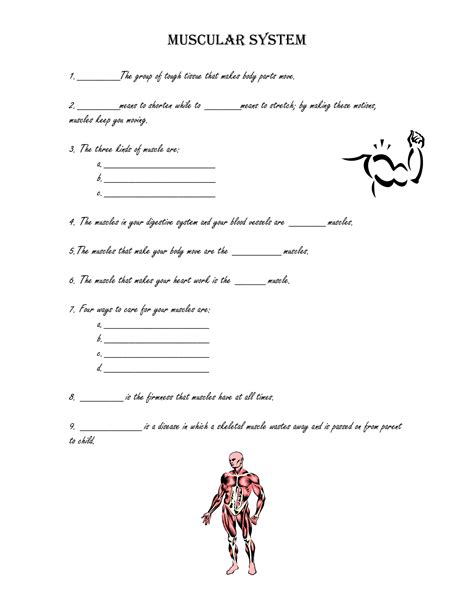 Worksheet On Muscular System