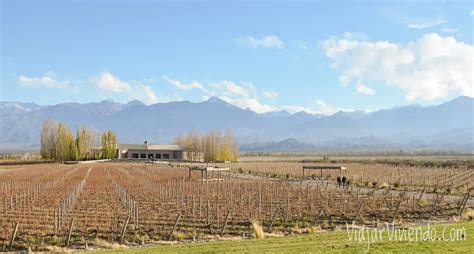 10 Bodegas En Valle De Uco Que Debes Visitar