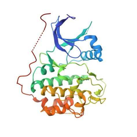 Gene Q15831 Protein STK11 Overview CanSAR Ai