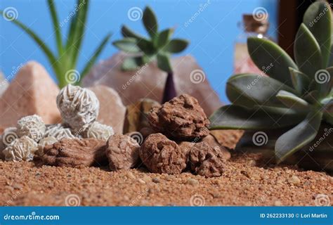 Desert Rose Rocks With Quartz Crystals On Australian Red Sand Stock