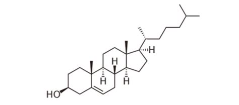 Biochem Exams Flashcards Quizlet