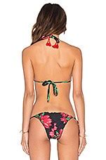 Salinas Triangle Bikini Top In Jasmim REVOLVE