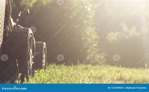 Cortador De Grama Que Corta A Grama Verde No Quintal Foto De Stock