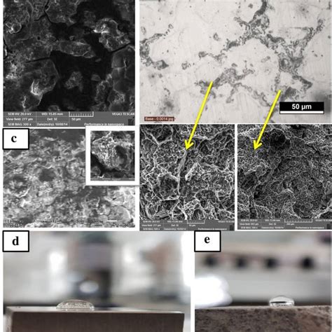 A Correlation Between Naked Mg Alloy Hydrophobically Treated Mg