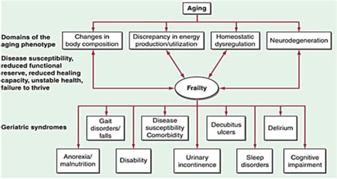 Clinical Geriatric Syndromes Flashcards Quizlet