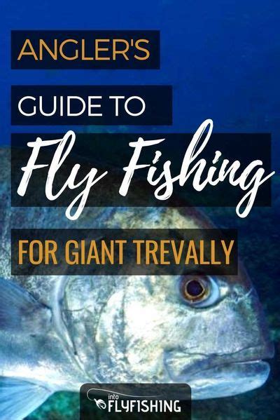 Are You Planning To Go Fly Fishing Our Expert Angler Shares The Best