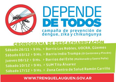 Mañana comienza la campaña de prevención de dengue Municipalidad de