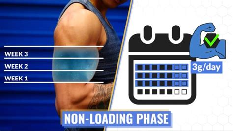 Creatine Before And After Discover What Happens When You Take It For