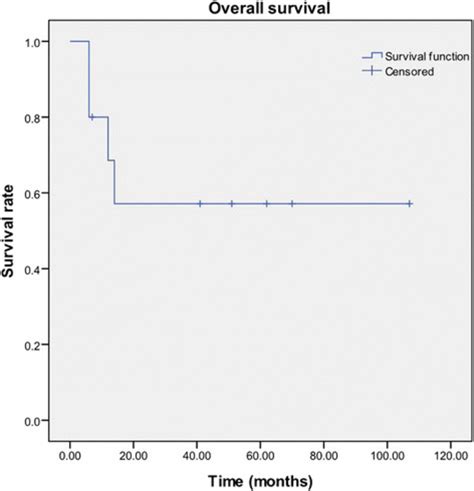 Actuarial Survival Curve For The 10 Patients Download Scientific Diagram