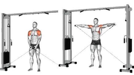 HOMBROS 3D LOS MEJORES EJERCICIOS Trainologym