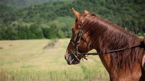 Umbria Con La Casella Tra Il Parco Di Villalba E Il Sentiero Dei