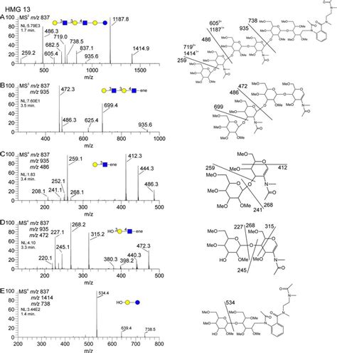 Structural Characterization By Multistage Mass Spectrometry Msn Of