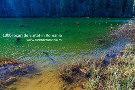 Vacanta La Piatra Neamt Si Imprejurimi Ce Poti Vizita Aici Turist