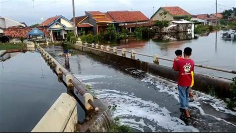 Banjir Rob Terjang Pekalongan Ratusan Rumah Warga Terendam