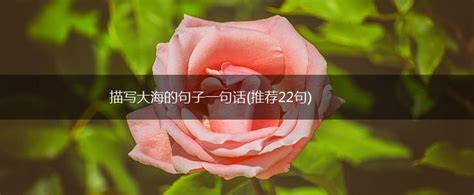 描写大海的句子一句话推荐22句