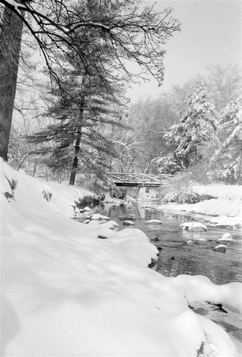 无人竖图黑白室外白天旅游度假美景森林雪松树美国景观冬天桥枝联系娱乐风景小溪自然享受休闲景色放松