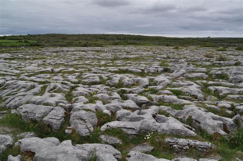 The Burren Ireland Ireland Holiday Burren Mulled Plains Holiday