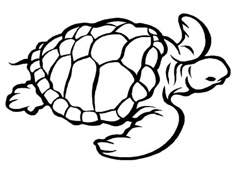 Turtle Coloring Pages Free Printable