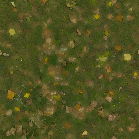 ArtStation - Grass Seamless Texture 2k (2048*2048) | EXR 5 | JPG 5 File ...