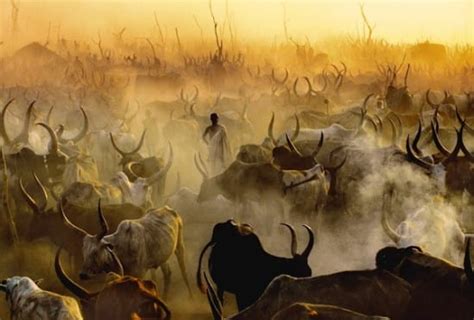 Nude Photographs Of The Dinka Art Or Exploitation