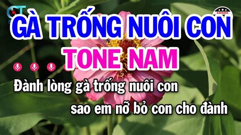 Karaoke Gà Trống Nuôi Con Tone Nam Dm Nhạc Sống Mới Karaoke Kim