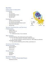 Mcb Exam Notes Docx Nucleus Prokaryotes Vs Eukaryotes