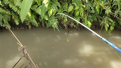 Ya Ampun Mancing Sehabis Hujan Besar Banjir Bandang Nemu