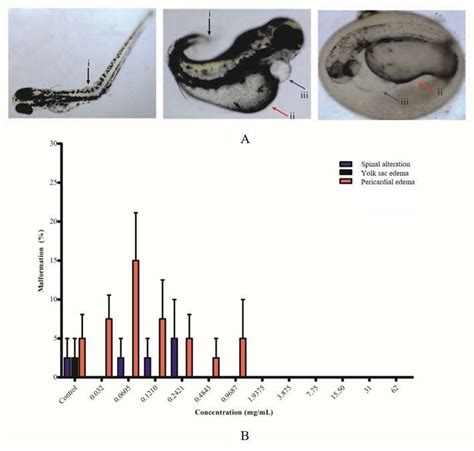 Malformations Found In Zebrafish Embryos Exposed To A Peregrina A