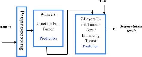 Proposed Flowchart For Brain Tumors Segmentation Download Scientific