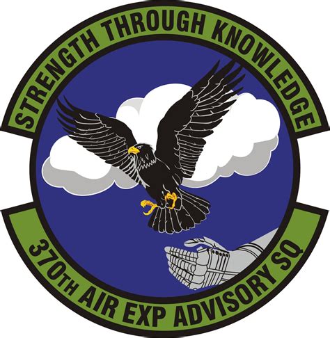 Coat Of Arms Crest Of 370th Air Expeditionary Advisory Squadron US