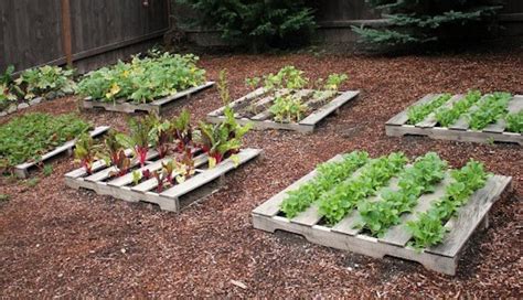 Cr Er Un Carr Potager Dans Son Jardin Conseils Et Id Es En Photos